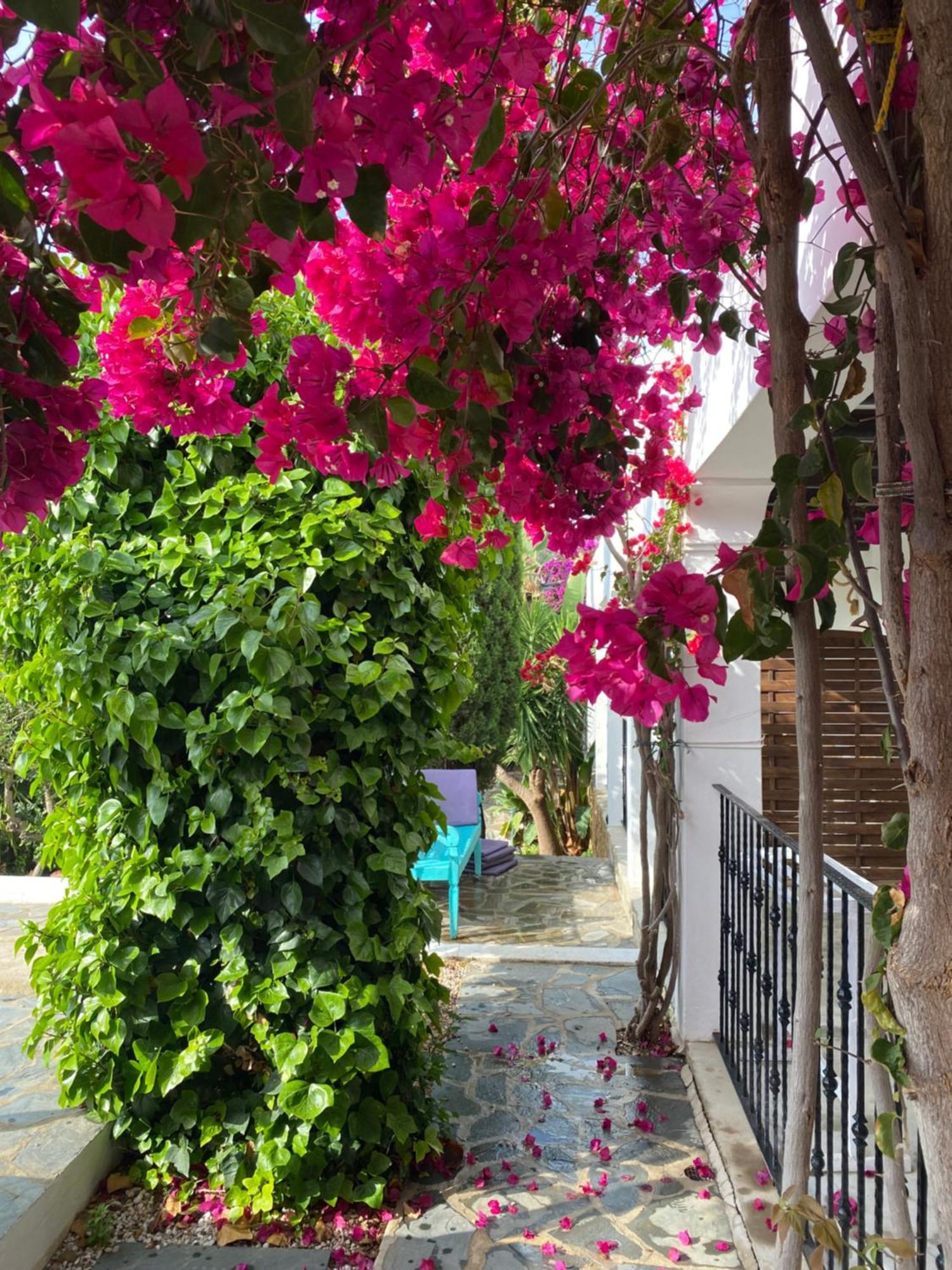 Buenavista Suites Hotel Boutique Santa Eularia des Riu Bagian luar foto